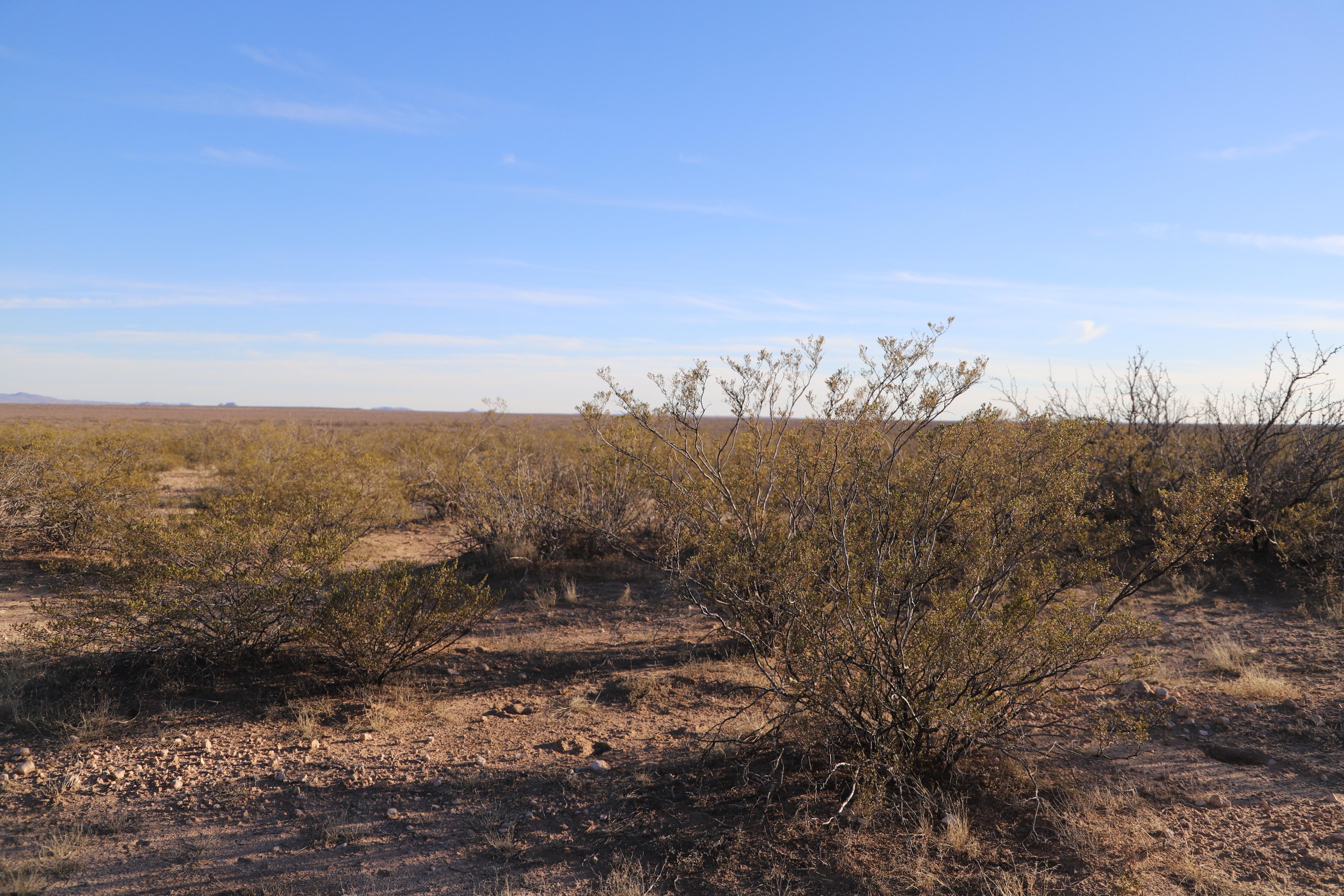 Luna County, NM — photo 3