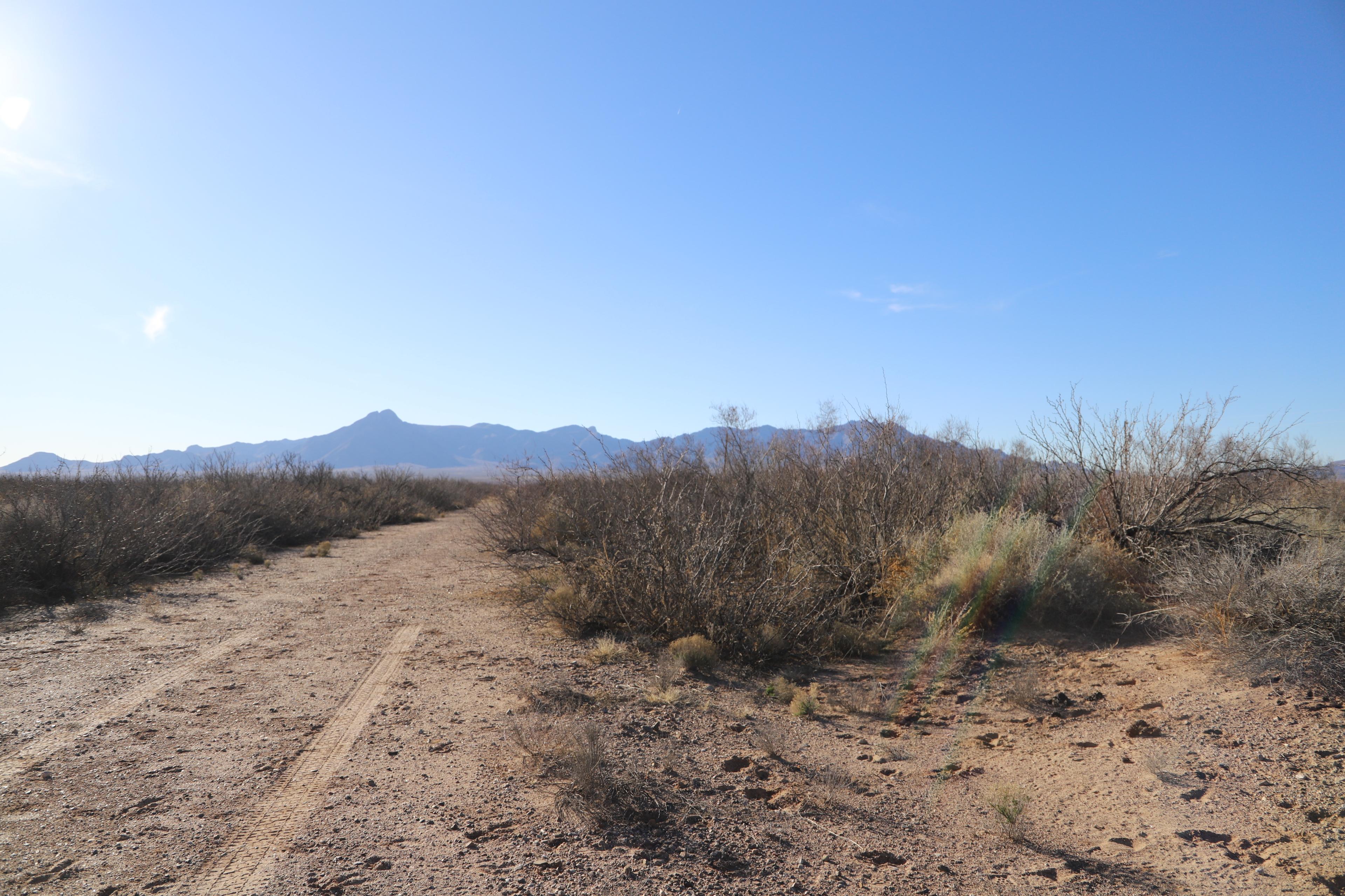 Luna County, NM — photo 2