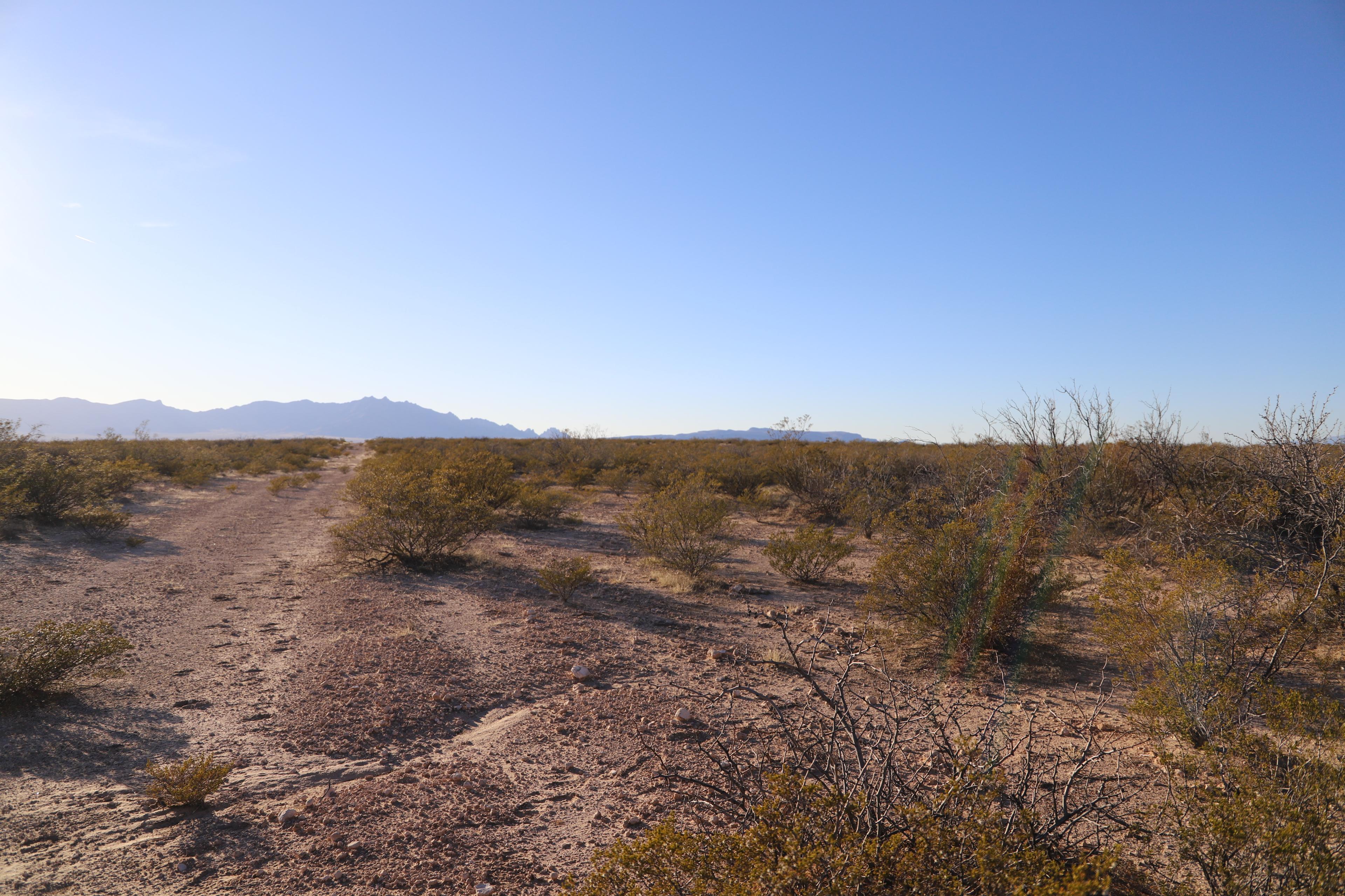 Luna County, NM — photo 2